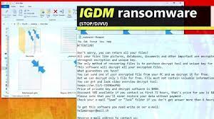 Tapi cara ini hanya bisa digunakan jika kalian memiliki data backup terbaru di windows backup. Remove Igdm Ransomware Virus Decrypt Igdm Files Geek S Advice