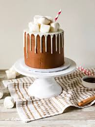 Fun Flavorful Nutella Hot Chocolate Cake For Christmas Katie Rosario Recipe Nutella Hot Chocolate Drip Cakes Chocolate Drip Cake