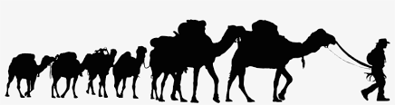 Here you can calculate how many camels your girlfriend or boyfriend is worth. Camel Clipart Walking Camel Png 4877x1140 Png Download Pngkit