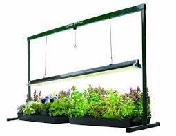 Hydrofarm Jsv4 4 Foot Jump Start T5 Grow Light System By Hydrofarm Http Www Amazon Com Dp B0001xlsgq Ref Cm Indoor Grow Lights Best Grow Lights Grow Lights