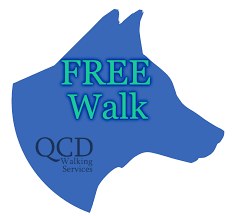 Maybe you would like to learn more about one of these? Dog Walkers In Brooklyn Qc Dog Walking Links