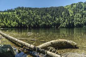 pin auf die schonsten orte im schwarzwald must see places in the black forest