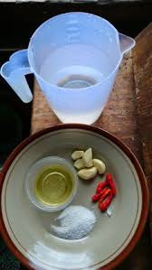 Skli kena ajinomoto, memang lebat sungguh bunga mangga. 13 Kebun Ideas Growing Vegetables In Pots Vegetable Planting Guide When To Plant Vegetables