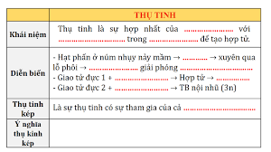 Ý nghĩa sinh học của hiện tượng thụ tinh kép ở thực vật hạt kín là gì? Chao Má»«ng Báº¡n Ä'áº¿n Vá»›i Blog Cá»§a Chung Toi Sinh Há»c 11