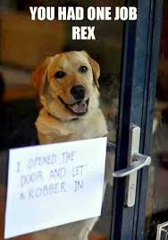 14 Of The Funniest Dog Shaming Photos Ever Dog Shaming Funny Dog Shaming Photos Dog Shaming