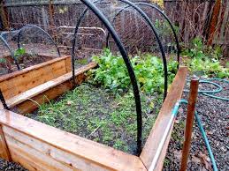 You can either run the fence along the outside of the bed and secure it with staples or you can run it on the inside of the bed and bury it an inch or two in the soil to secure it in place. Fourth Grade School Racerback Tank Growing Vegetables Building A Raised Garden Raised Garden