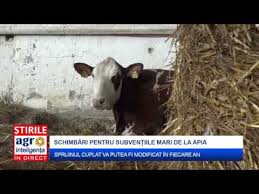 Asta anunță oficialii de la bruxelles, care mai completează că va exista o mai mare flexibilitate acordată statelor membre, pentru a sprijini anumite sectoare de importanță economică, socială sau de mediu. SubvenÈ›ii Apia 2018 NoutÄƒÈ›i La Sprijinul Cuplat Youtube