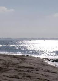La Tranche Sur Mer Vendee 85 Groupement Des Campeurs Universitaires De France