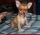 Ugly Dog Events, LLC | LinkedIn
