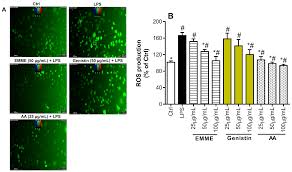 Image result for Eriosema laurentii