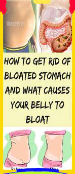 Hanminger62 In 2021 Get Rid Of Bloated Stomach Bloated Stomach Bloated Belly