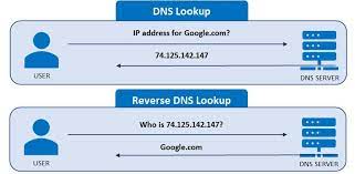 Reverse Dns Lookup And Why Useful Whatismyip Com