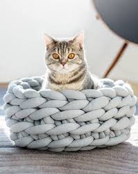 Cat Beds What Cat Bed Is Right For Your Cat Cattime Diy Cat Bed Knitted Cat Cat Bed