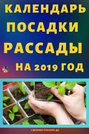когда сажать помидоры на рассаду по лунному календарю 2019 Rabota V Sadu Ili Ogorode Trebuet Ogromnyh Zatrat Kak Fizicheskih Tak I Duhovnyh Blagopriyatnye Dni Dlya Posadki Rassady Gardening Tips Vegan Life Garden Tools