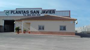 PLANTAS SAN JAVIER