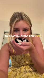 Adorable Neonate Kittens and the Cat Distribution System