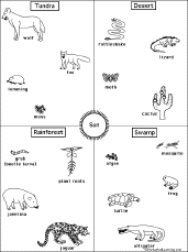 Food Chain Food Chain Activities Food Chain Worksheet Biology Worksheet