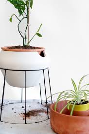 After the drainage hole, the next question is what material the succulent pot should be made of. Holey Moly How To Add Drainage Holes To All Your Pots Ctrl Curate