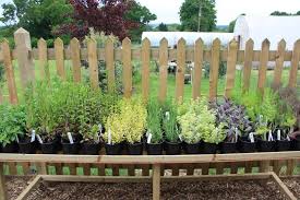 What are the shipping options for nursery pots? Cherry Garden Nursery Home Facebook