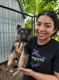 Shadow & Ghost Kennels