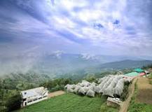 Fagu, Shimla (Himachal Pradesh) - Places to Visit, Things to ...