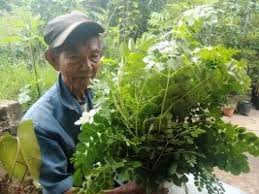 We did not find results for: Asam Urat Sembuh Dengan Daun Afrika Dan Kelor Odesa Indonesia