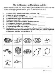 The Cell Structure And Functions Activity Worksheet Free Science Biology In 2020 Cell Structure Structure And Function Functions Activity