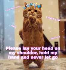 How Me And Barnsdalecallum Fell In Love Cute Memes Cute Love Memes Baby Memes