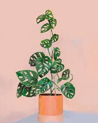 Pin On Popular Trending