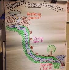Science Anchor Charts Sharpening The Minds