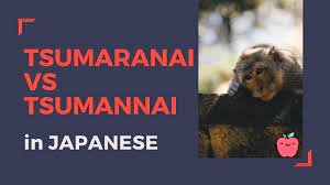 Tsumaranai vs Tsumannai – The battle of the borings