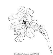 Add the template {{file:imagename.jpg}} to the user's talk page. Blumen Gladiolus Kontournieren Grafische Kunst Schwarz Weisse Line Art Vektor Flower Gladiolus Konturgrafische Kunst Canstock