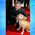 'Dog whisperer' Cesar Millan defends himself amid animal cruelty ...