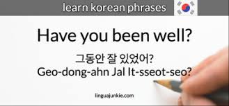 Knowing how to say hello, how are you? and other basic phrases will help you jumpstart your conversational korean. Linguajunkie Tumblr Com Tumbex