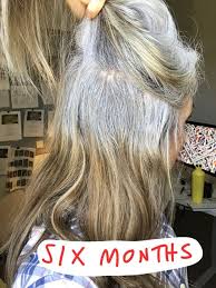 This Popular Gray Hair Transition Story Will Inspire You Transition To Gray Hair Grey Hair Wig Blending Gray Hair
