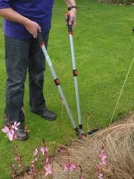With edging, an actual cut is made in the lawn. Lightweight Telescopic Lawn Shears Darlac Products Trim The Lawn Without Bending Recommended By Thrive For Disabled Gardeners
