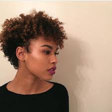 African American Black Short Curly Hairstyles 2020 80 Fabulous Natural Hairstyles Best Short Natural Hairstyles 2020 In 2020 Short Natural Hair Styles Curly Hair Styles Naturally Curly Hair Photos