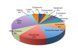 cst ptmscan malonyl lysine mal k kit