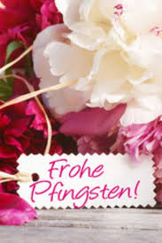 Schöne pfingsten wünschen pfingsten bilder pfingsten wochenende schöne sprüche zum nachdenken montag grüße schöne sprüche zitate weisheiten sprüche blumen schöne hintern. Wir Wunschen Euch Frohe Pfingsten Koopmann Werkstatt Lackiererei Handwerk Osnabruck Lack Karosserie Smartrepair D Frohe Pfingsten Pfingsten Frohe