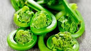 7 Aliments A Ne Jamais Consommer Crus Avec Images Alimentation Cuisine Aliments Les Plus Sains