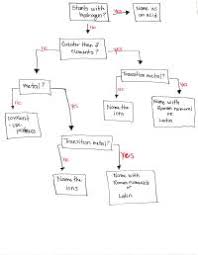 Naming Chemical Compounds Chart Naming Chemical