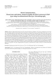 Image result for Vittaria guineensis