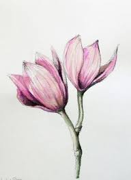 Flowers Drawing Pencil Colour 26 Super Ideas Drawing Flowers In 2020