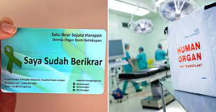 Unit perkhidmatan transplan, bahagian perkembangan perubatan, bahagian pendidikan kesihatan dan pusat sumber transplan nasional Here S How You Can Donate Your Organs After Death In Malaysia Penang Foodie