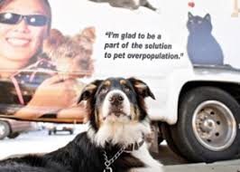 Then you too can maybe make a hilarious viral video! Mobile Spay Neuter Clinic Peninsula Humane Society Spca