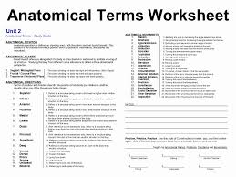 Some of the worksheets displayed are practical 1 work 201 practical 1 work key chap1 anatomical terminology compatibility anatomical terminology work 1. Anatomical Terms Worksheet Answers Elegant Anatomical Terminology Worksheet The Best Work In 2020 Body Systems Worksheets Medical Terminology Study Medical Terminology