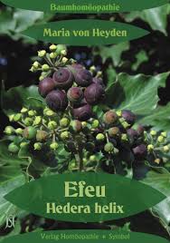 We did not find results for: Efeu Hedera Helix Der Homoopathische Weg Der Baume Von Heyden Maria Vortrag Arzneibild Verlag Homoopathie Symbol Online Versand