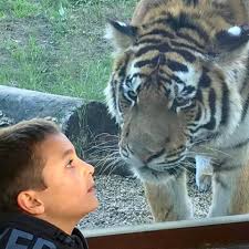 Com cerca de 1200 animais e 350 espécies, aqui irá. Facebook