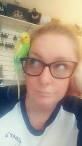 Why is my maroon clownfish so set