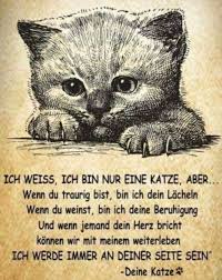 Pin Auf Einfach Suss